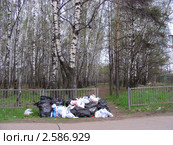 Свалка мусора у входа в парк "Лосиный остров". Гольяново (2011 год). Редакционное фото, фотограф lana1501 / Фотобанк Лори