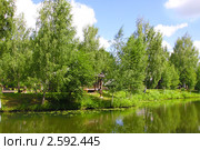 Летний пейзаж с рекой (2010 год). Редакционное фото, фотограф ElenArt / Фотобанк Лори