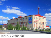 Надымский региональный узел электросвязи. Город Надым, Ямало-Ненецкий автономный округ (2011 год). Редакционное фото, фотограф Григорий Писоцкий / Фотобанк Лори