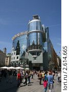Дом Хааса, Вена, Австрия (2011 год). Редакционное фото, фотограф Юлия Кузнецова / Фотобанк Лори