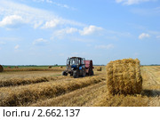 Трактор в поле убирает солому. Белорусская хлебная нива. (2011 год). Стоковое фото, фотограф Николай Шуманский / Фотобанк Лори