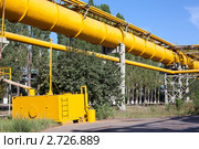 Газопровод высокого с устройством удаления конденсата. Стоковое фото, фотограф Кекяляйнен Андрей / Фотобанк Лори