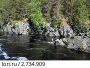 Рыбак на реке. Стоковое фото, фотограф Кекяляйнен Андрей / Фотобанк Лори