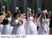 Парад невест (2011 год). Редакционное фото, фотограф Василий Пешненко / Фотобанк Лори