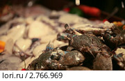 Таиланд. Морепродукты (2011 год). Стоковое видео, видеограф Виталий Зверев / Фотобанк Лори