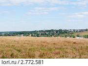 Село Хатунь. Ступинский район. Московская область (2011 год). Стоковое фото, фотограф E. O. / Фотобанк Лори