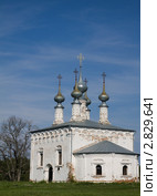 Церковь Входа Господня в Иерусалим в Суздале (2011 год). Стоковое фото, фотограф Бондаренко Олеся / Фотобанк Лори