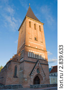 Яновская церковь. Тарту. Эстония (2011 год). Стоковое фото, фотограф Александр Щепин / Фотобанк Лори