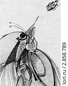 Абстрактный  рисунок тушью. Стоковая иллюстрация, иллюстратор Ольга Садовникова / Фотобанк Лори