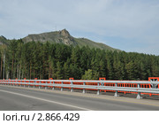 Новый мост через реку Катунь. Стоковое фото, фотограф Free Wind / Фотобанк Лори