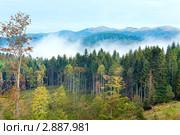 Осень в горах. Стоковое фото, фотограф Юрий Брыкайло / Фотобанк Лори