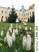 Грибной сезон. Стоковое фото, фотограф Андрей Марцинкевич / Фотобанк Лори