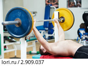 Культурист тренируется в спортзале. Стоковое фото, фотограф Дмитрий Калиновский / Фотобанк Лори