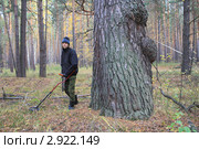 Поисковик у маточной сосны. Стоковое фото, фотограф Анатолий Матвейчук / Фотобанк Лори