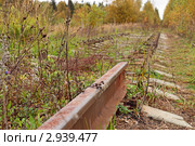 Старая железная дорога. Рельсы украдены! Стоковое фото, фотограф Сергей Соболев / Фотобанк Лори