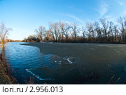Весна на водоёме. Стоковое фото, фотограф Квитко Ирина Сергеевна / Фотобанк Лори