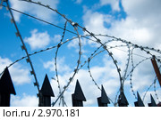 Колючая проволока на тюремной ограде. Стоковое фото, фотограф Володина Ольга / Фотобанк Лори