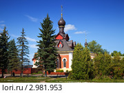 Церковь Серафима Сарова в Александрове летом (2011 год). Стоковое фото, фотограф Яков Филимонов / Фотобанк Лори