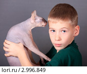 Мальчик с кошкой. Стоковое фото, фотограф Яна Королёва / Фотобанк Лори