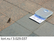Воробей намерен измерить свой вес. Стоковое фото, фотограф Анатолий Матвейчук / Фотобанк Лори