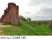 Замок в Новогрудке, Беларусь (2011 год). Стоковое фото, фотограф Елена Романюк / Фотобанк Лори