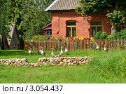 Кирпичный сельский дом с гусями во дворе. Стоковое фото, фотограф Елена Коромыслова / Фотобанк Лори