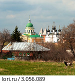 Зарайский кремль. Вид со стороны жилых домов (2011 год). Редакционное фото, фотограф Зобков Юрий / Фотобанк Лори