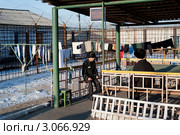 Арестантские будни (2011 год). Редакционное фото, фотограф Александр Подшивалов / Фотобанк Лори