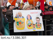 Лозунги против Путина на многотысячном митинге на проспекте Сахарова 24 декабря 2011 года - За честные выборы, город Москва. Редакционное фото, фотограф Николай Винокуров / Фотобанк Лори