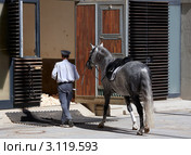 Конюшни Штальбург Испанской школы верховой езды в Вене (2011 год). Стоковое фото, фотограф Юрий Синицын / Фотобанк Лори
