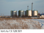 Резервуары для хранения нефтепродуктов. Стоковое фото, фотограф Gagara / Фотобанк Лори