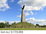 Бородино. Монумент французским солдатам, офицерам, генералам (2011 год). Редакционное фото, фотограф Дмитрий Неумоин / Фотобанк Лори