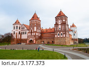 Замок. Мир. Беларусь. (2011 год). Стоковое фото, фотограф Андрей Андронов / Фотобанк Лори