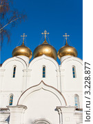 Ярославль, Успенский Собор (2012 год). Стоковое фото, фотограф ElenArt / Фотобанк Лори