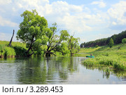 Река Зуша. Новосильский район. Орловская область (2011 год). Стоковое фото, фотограф Александра Меланич / Фотобанк Лори