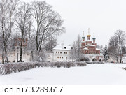 Снежной зимой в Новодевичьем монастыре (2012 год). Стоковое фото, фотограф Павел Широков / Фотобанк Лори