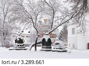 Снежной зимой в Новодевичьем монастыре (2012 год). Стоковое фото, фотограф Павел Широков / Фотобанк Лори