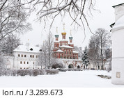 Снежной зимой в Новодевичьем монастыре (2012 год). Стоковое фото, фотограф Павел Широков / Фотобанк Лори