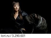 Сексуальная девушка с большим черным псом. Стоковое фото, фотограф Алексей Многосмыслов / Фотобанк Лори