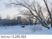 Зимний вечер около Новодевичьего монастыря (2011 год). Стоковое фото, фотограф Павел Широков / Фотобанк Лори