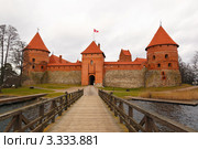 Тракайский замок в облачный день, Литва (2012 год). Стоковое фото, фотограф Mikhail Starodubov / Фотобанк Лори