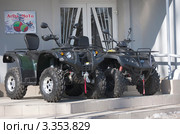 Квадроциклы утилитарные Speed Gear (2011 год). Редакционное фото, фотограф Короленко Елена / Фотобанк Лори
