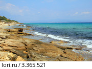 Берег моря районе Афитоса. Кассандра. Халкидики (2011 год). Стоковое фото, фотограф Александра Меланич / Фотобанк Лори
