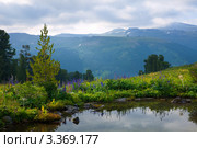 Мрачное горное озеро на Алтае. Стоковое фото, фотограф Яков Филимонов / Фотобанк Лори