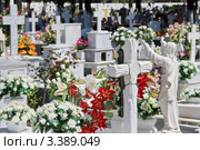 Греческое кладбище (2011 год). Стоковое фото, фотограф Александра Меланич / Фотобанк Лори