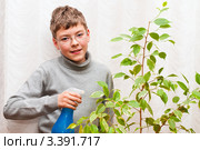 Мальчик подросток  ухаживает за цветами. Стоковое фото, фотограф Игорь Низов / Фотобанк Лори