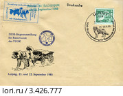 Собака породы Ньюфаундленд на почтовом конверте. Стоковое фото, фотограф Евгений Мухортов / Фотобанк Лори