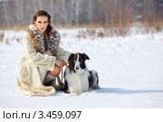 Девушка в белой шубе сидит с русской борзой в поле зимой. Стоковое фото, фотограф Сергей Пристяжнюк (Serg Zastavkin) / Фотобанк Лори