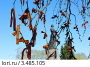 Георгиевские ленточки на ветвях дерева (2011 год). Редакционное фото, фотограф Роман Родионов / Фотобанк Лори