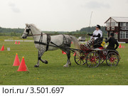 Кубок России по драйвингу 2011.  Паркур. И. Ивлева/Вупрас. Редакционное фото, фотограф Устинова Мария / Фотобанк Лори